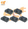 61mm x 34mm Black Color Cabinet Box Pack of 5